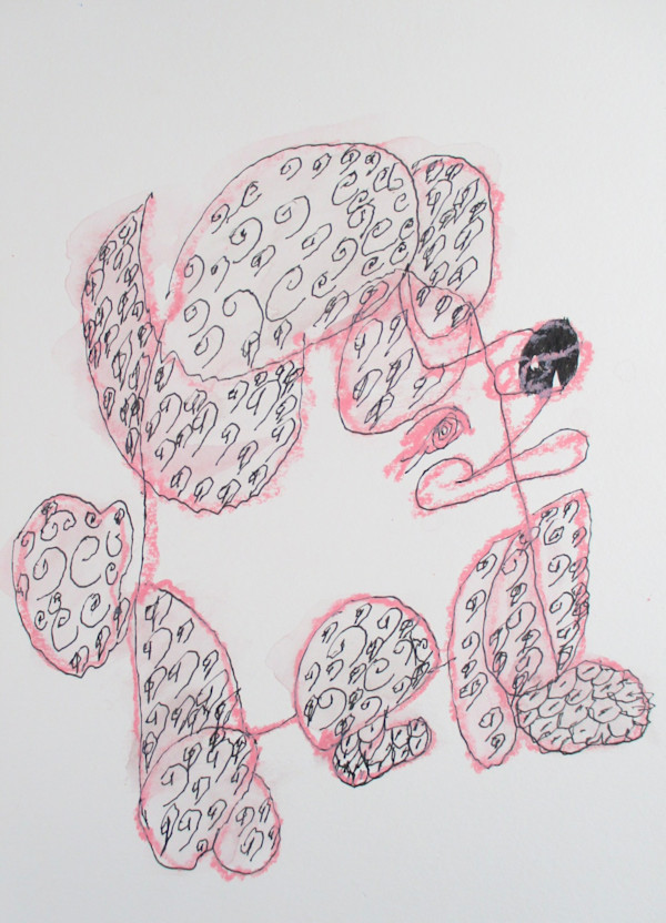 Pink Poodle by Josie Juantorena