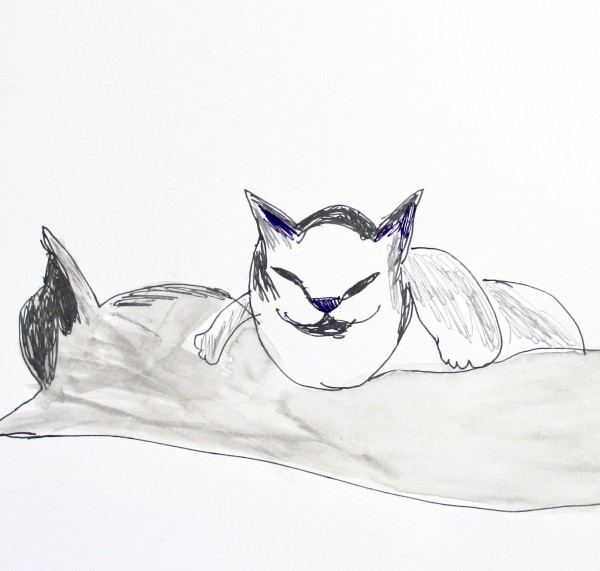 Cat Nap by Monica Farwell