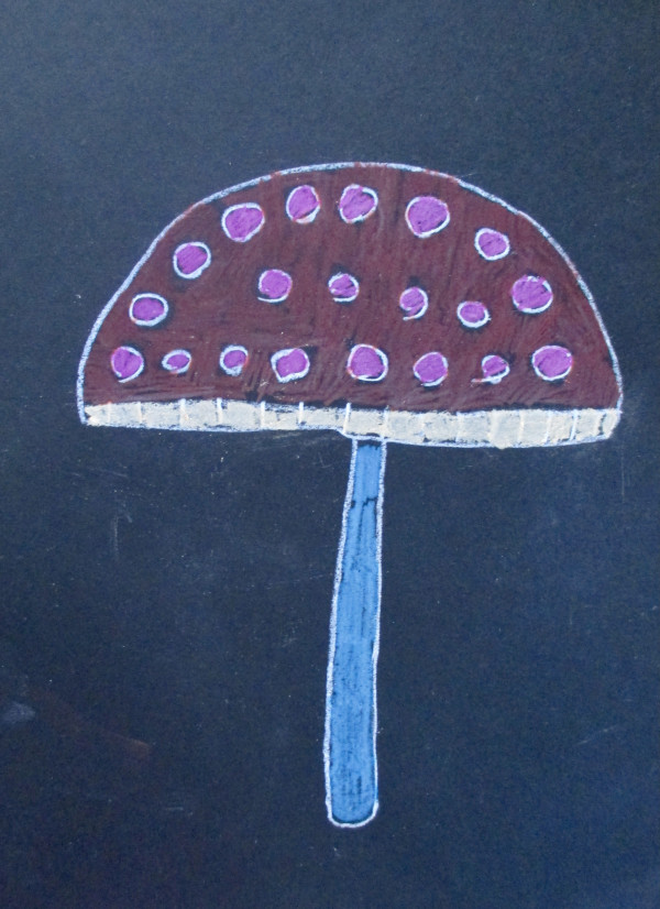 Parasol Mushroom by Patricia  Drake