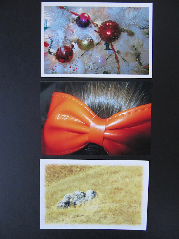 Celebrate by Patricia Drake, Image 1.