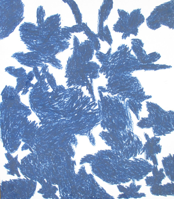 Blueprint by Siobhan Cooke