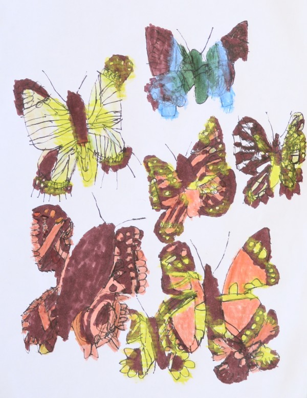 Butterfly Collection #3 by Siobhan Cooke