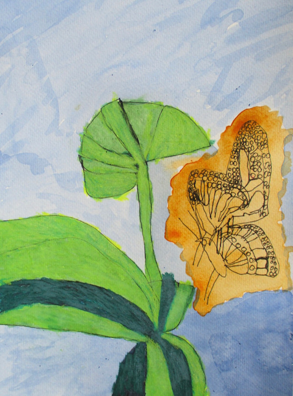 Butterfly Visitor by Siobhan Cooke