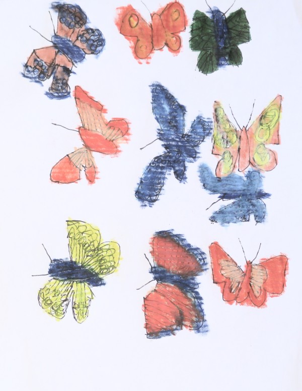 Butterfly Collection #4 by Siobhan Cooke