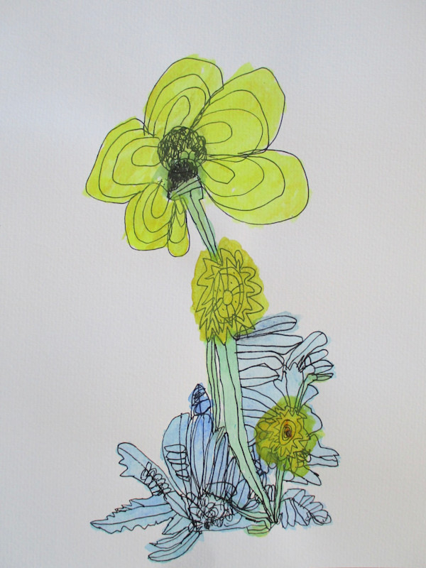 Yellow/Blue Blossoms by Siobhan Cooke