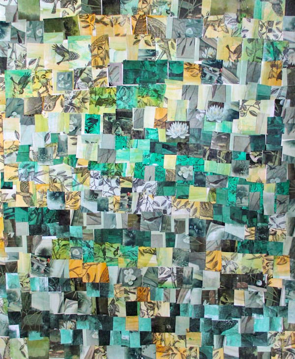 Lotus Blossom by Tim Shepp