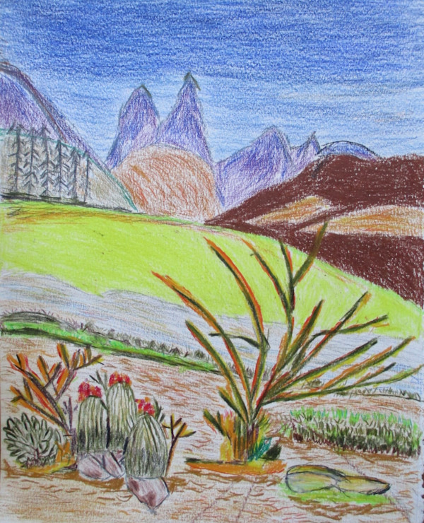 Desert Landscape by Toni Johnston