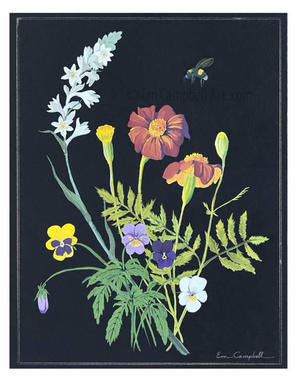 Botanical Marigold Painting Illustration
