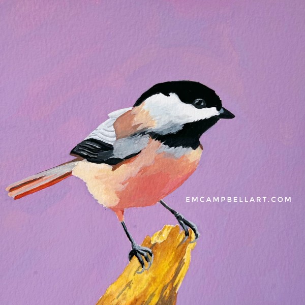 Black Capped Chickadee by Em Campbell