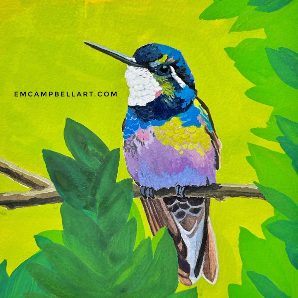 Gem Hummingbird by Em Campbell