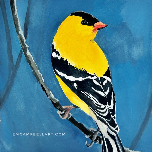 Goldfinch by Em Campbell