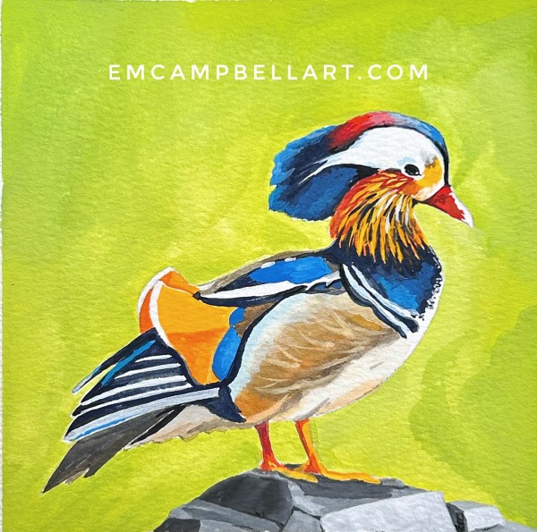 Handsome Mandarin Duck by Em Campbell