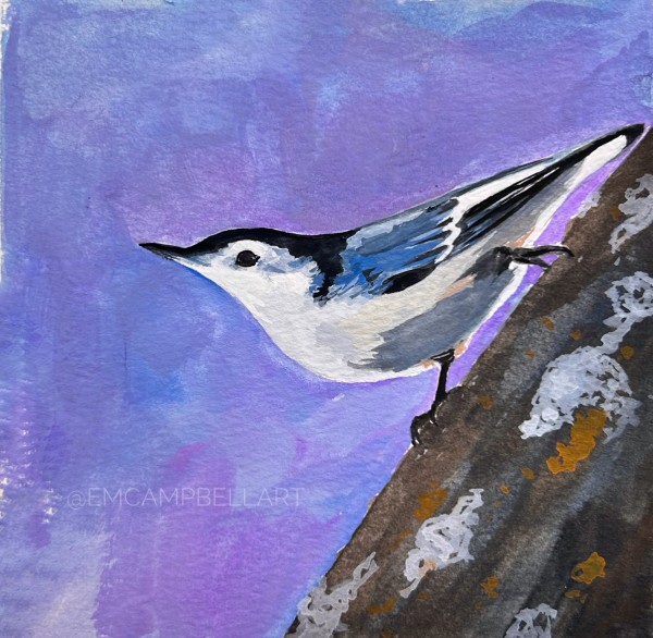 Clever Nuthatch by Em Campbell