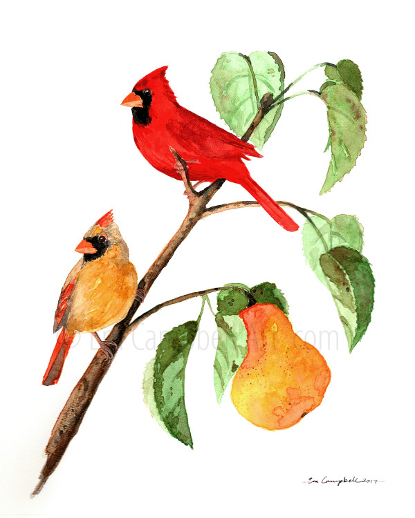 Breakfast at Bartlett's - Cardinal Watercolor