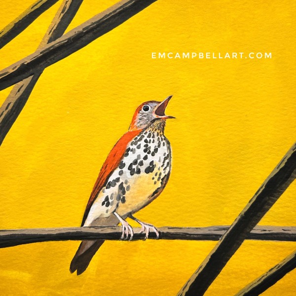 Wood Thrush's Song by Em Campbell