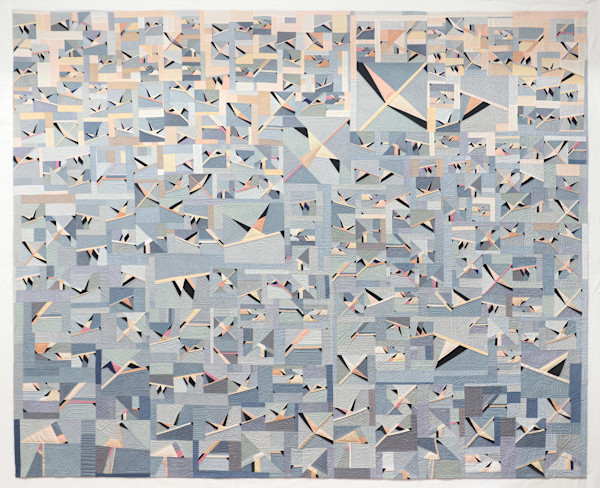 Flying by Vicki Conley