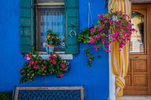 Blue Wall with Flowers, Burano by George Cannon