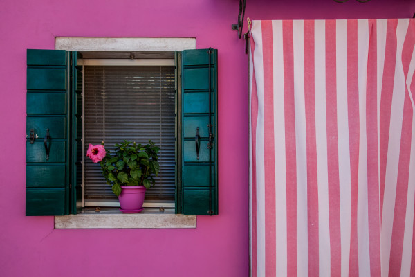 Pink, Burano by George Cannon