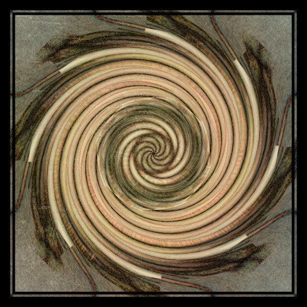 Nina's Spiral 1
