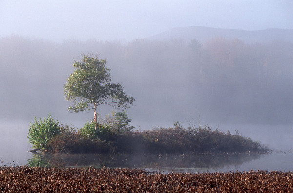 Adirondack Fog