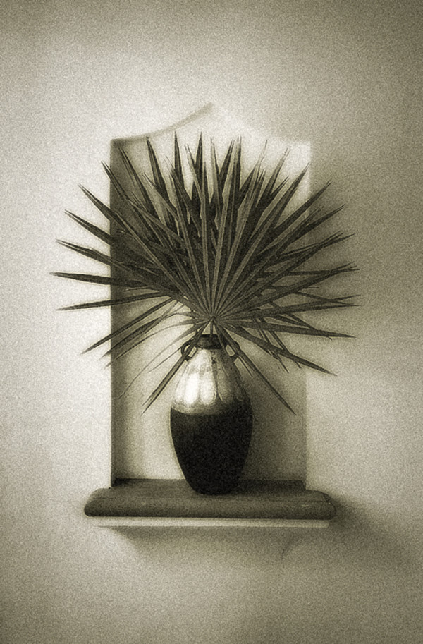 Palmetto in a Vase