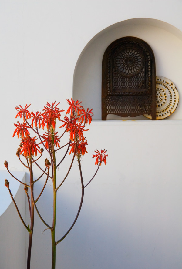 Alys Beach Niche by George Cannon