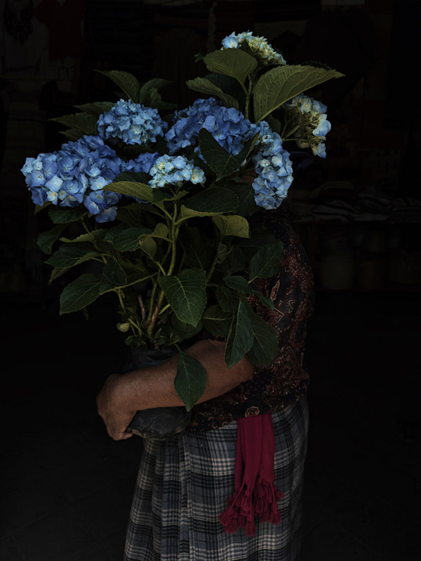Hortensias e Isabel by Luvia Lazo, Image 1.