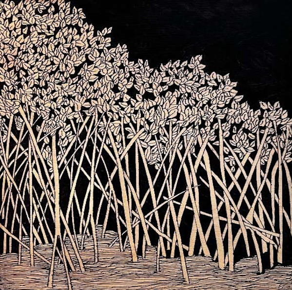 Manglar 888 by ALESSANDRA ALBIN, Image 1.