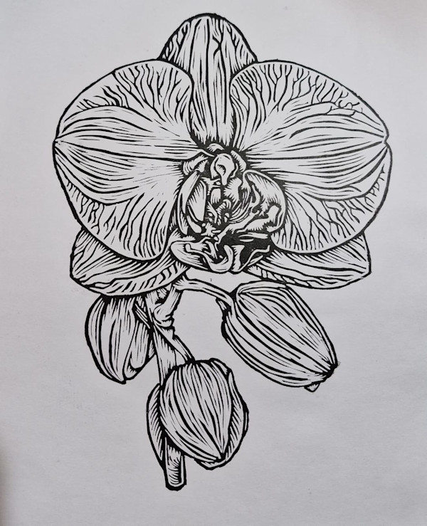 Orquidea 5/30 by REBECA SERRANO, Image 1.