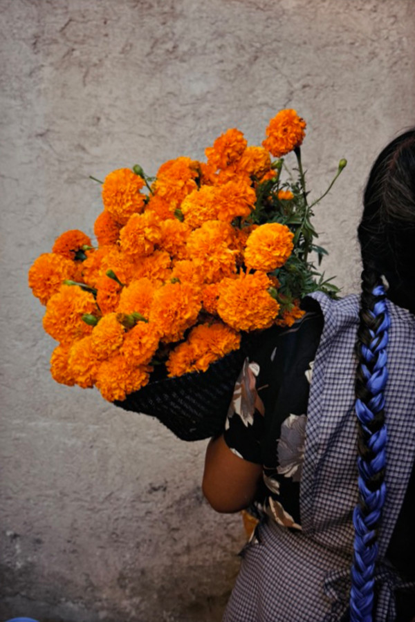 ⁠Azul indigo y Amarillo Taguete by LUVIA LAZO, Image 1.