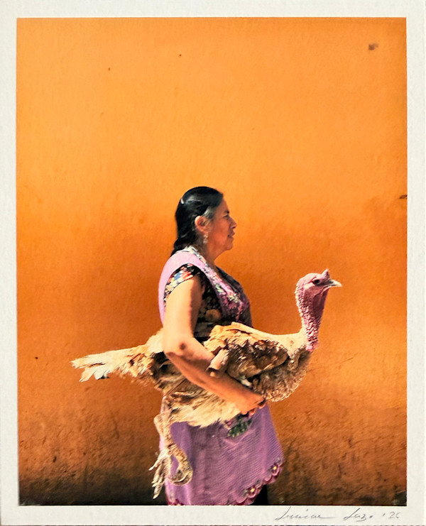 el pavo dorado by LUVIA LAZO, Image 1.