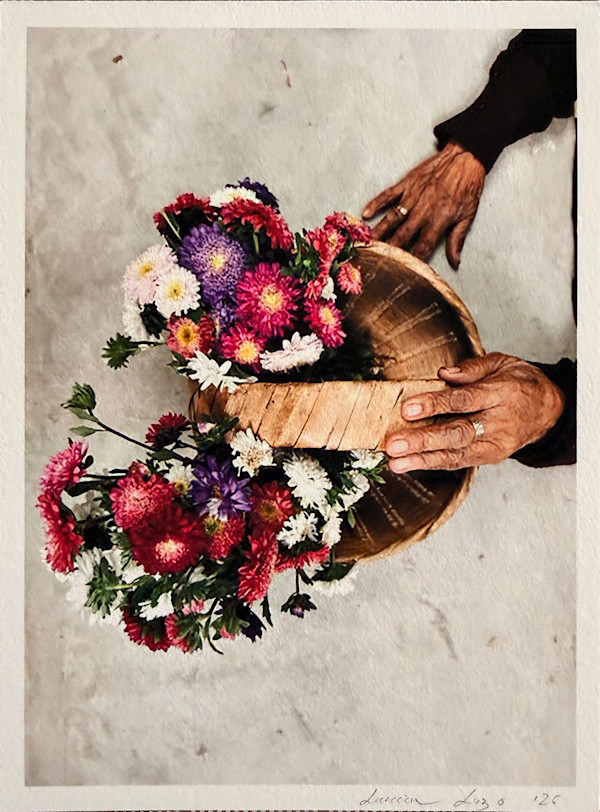 Flores para no Olvidar by Serrano Gallery, Image 1.