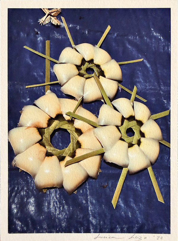 Flores de Palma by LUVIA LAZO, Image 1.