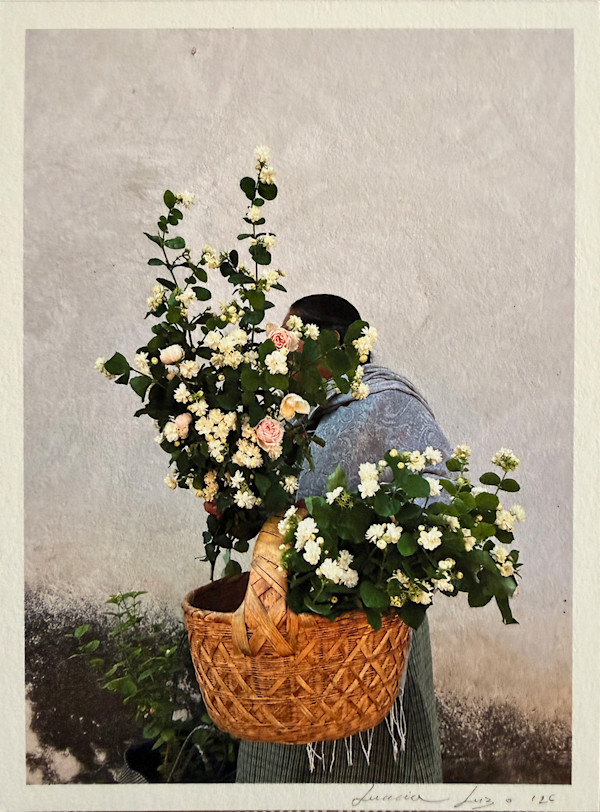 Jazmin Zapoteco II by LUVIA LAZO, Image 1.