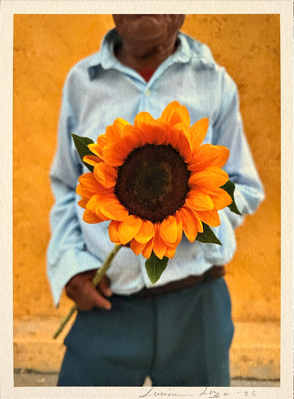 el girasol by LUVIA LAZO, Image 1.