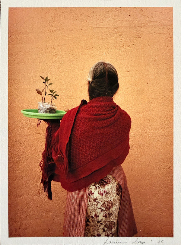 El puesto de aguacates by LUVIA LAZO, Image 1.