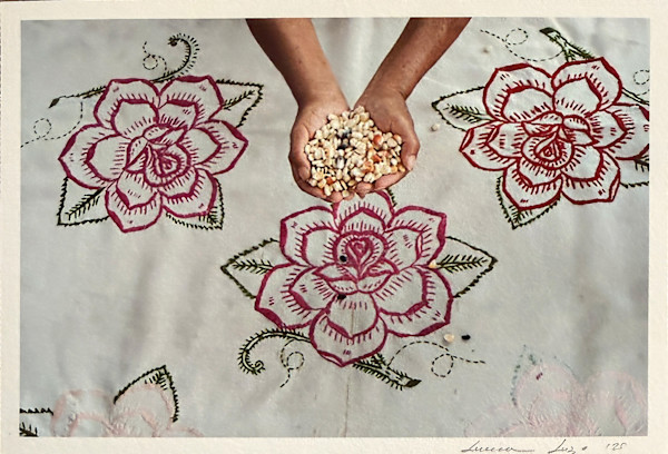 Maíz en Flor by LUVIA LAZO, Image 1.