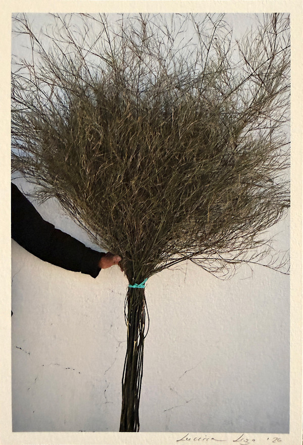 la Escoba by LUVIA LAZO, Image 1.