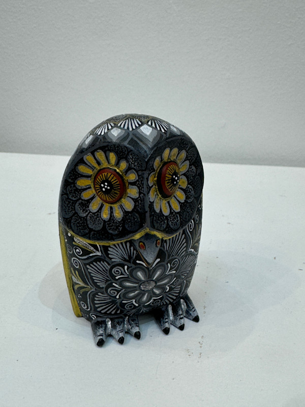Buho by DAVID HERNANDEZ
