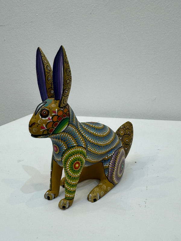 Conejo by DAVID HERNANDEZ, Image 1.