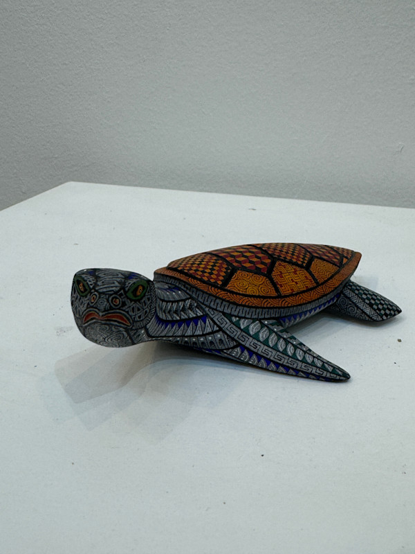 Tortuga Atenta by DAVID HERNANDEZ, Image 1.