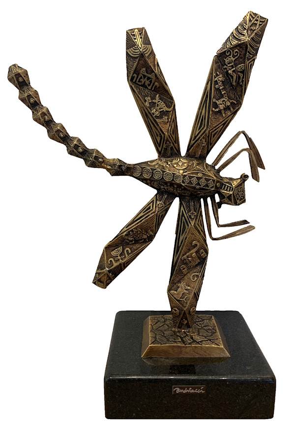 Libélula by FERNANDO ANDRIACCI