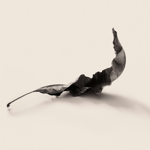 Intimate Meditation  2 by Carlos Ocando, Image 1.