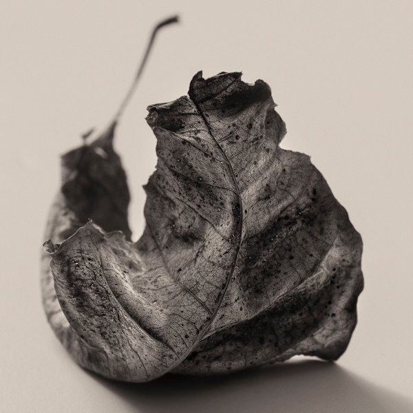 Intimate Meditation  3 by Carlos Ocando, Image 1.