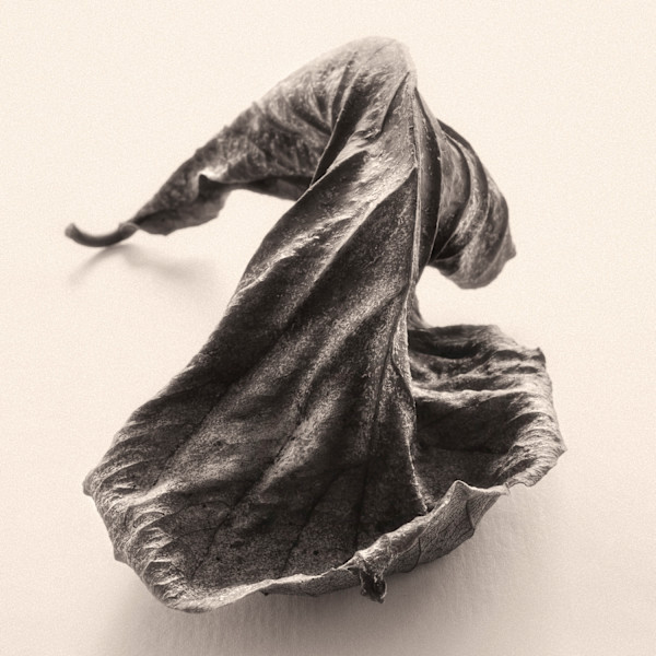 Intimate Meditation  4 by Carlos Ocando, Image 1.