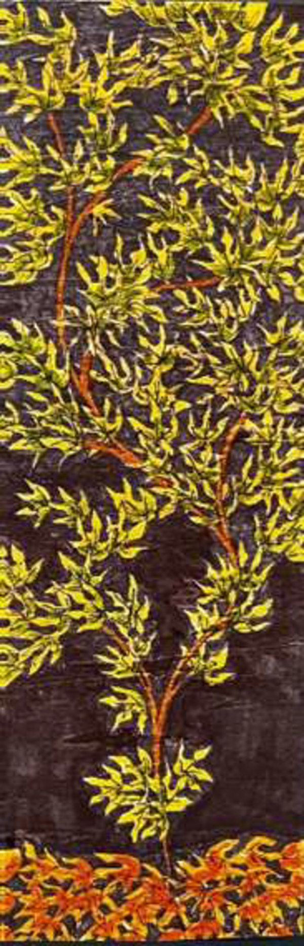 Tree by ALESSANDRA ALBIN, Image 1.