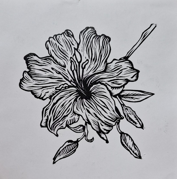 Iris 5/30 by REBECA SERRANO, Image 1.