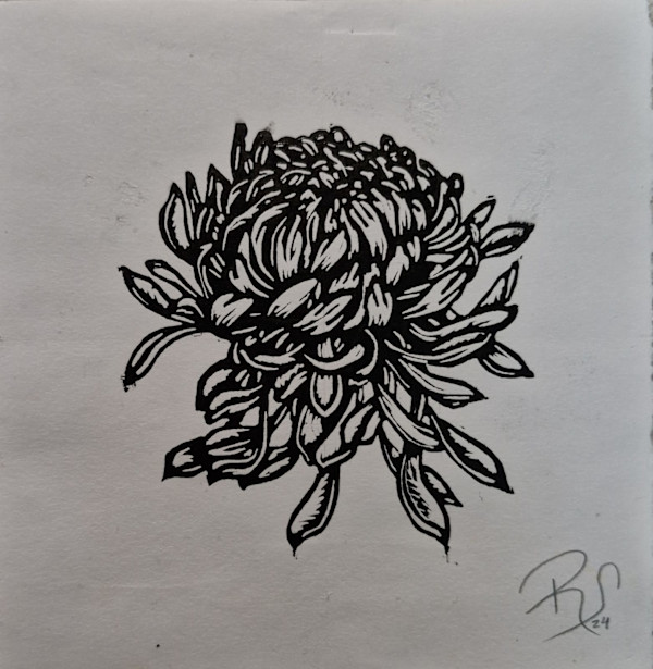 Mi Crisantemo 5/30 by REBECA SERRANO, Image 1.