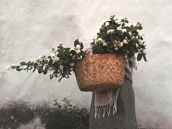 Jazmín Zapoteco by LUVIA LAZO, Image 3.