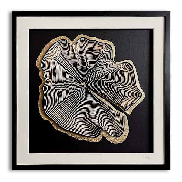 Growth Rings no.6 by Paulina M Johnson